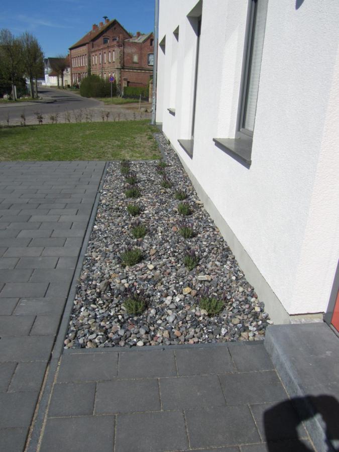 Reusenhaus Nord Villa Breege Eksteriør billede